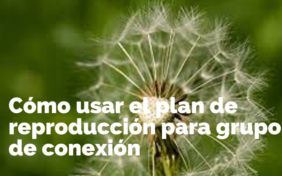 Cómo usar El plan de reproducción del grupo de conexión