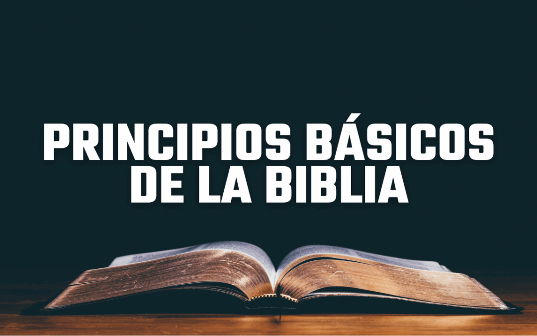 Principios básicos de la Biblia